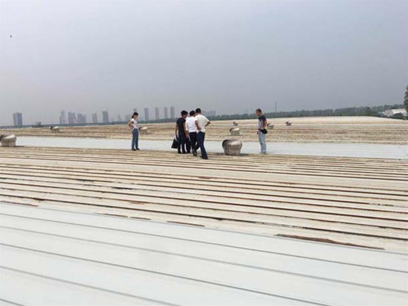 漢口北金馬凱旋家居倉(cāng)庫(kù)彩鋼瓦更換加固